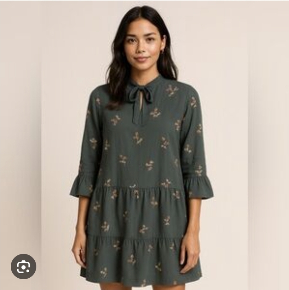 100% Silk Mini Ruffle Button Dress With Sleeves By Madewell